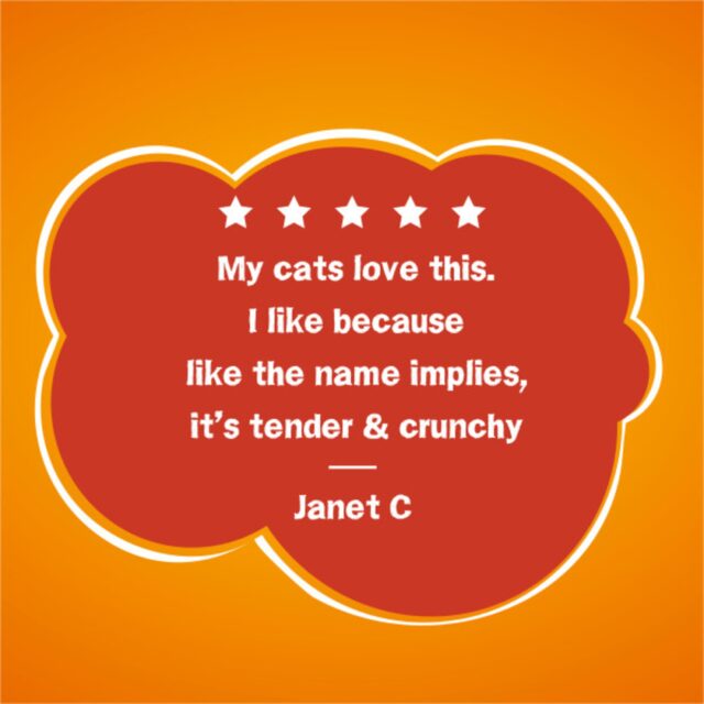 Purina Friskies Tender and Crunch'd With Flavors of Chicken, Beef, Carrots and Green Beans Dry Cat Food, 16 lb Bag - Image 2