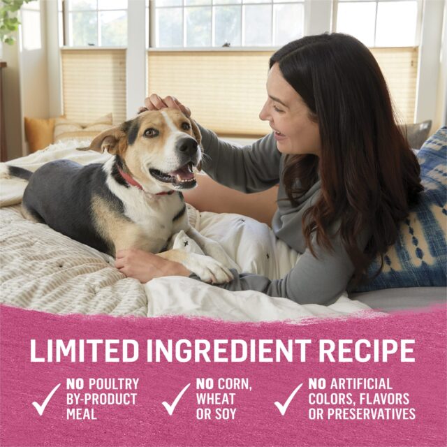 Purina Beyond Immune Health Wet Dog Food High Protein Beef, Chicken, & Turkey, 12.5 oz Can (6 Pack) - Image 5
