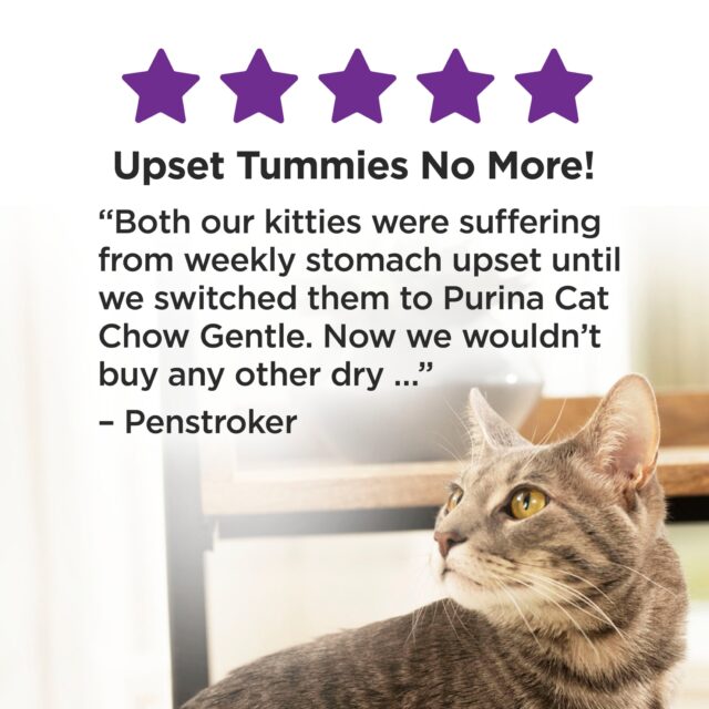 Purina Cat Chow Gentle, Sensitive Stomach Dry Cat Food, Turkey, 6.3 lb Bag - Image 3