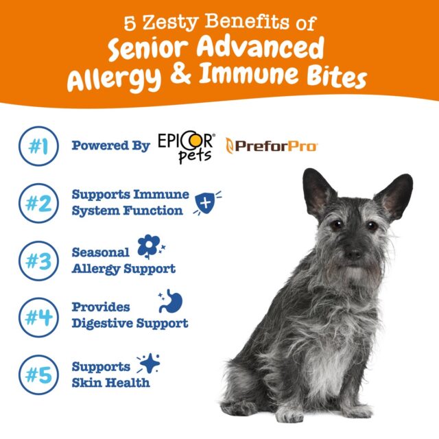Zesty Paws Senior Advanced Allergy & Immune Bites for Senior Dogs, Allergy Relief and Immune Support, Salmon Flavor, 90 ct - Image 2