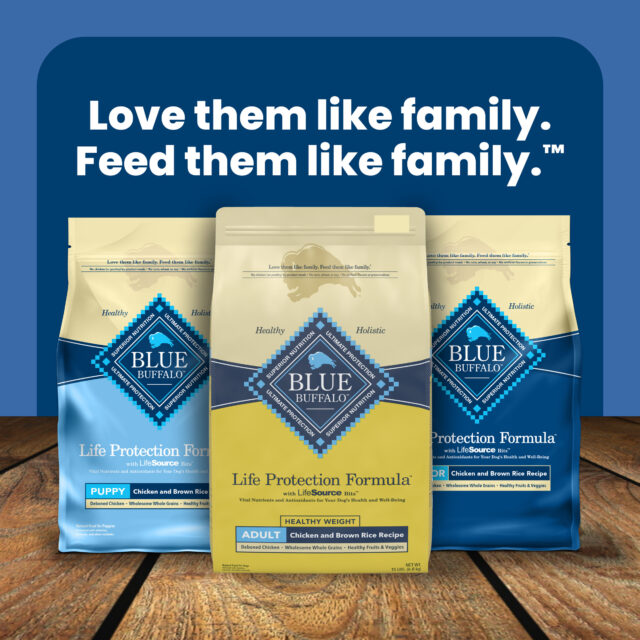 Blue Buffalo Life Protection Formula Adult Healthy Weight Dry Dog Food 5 lbs. - Image 3