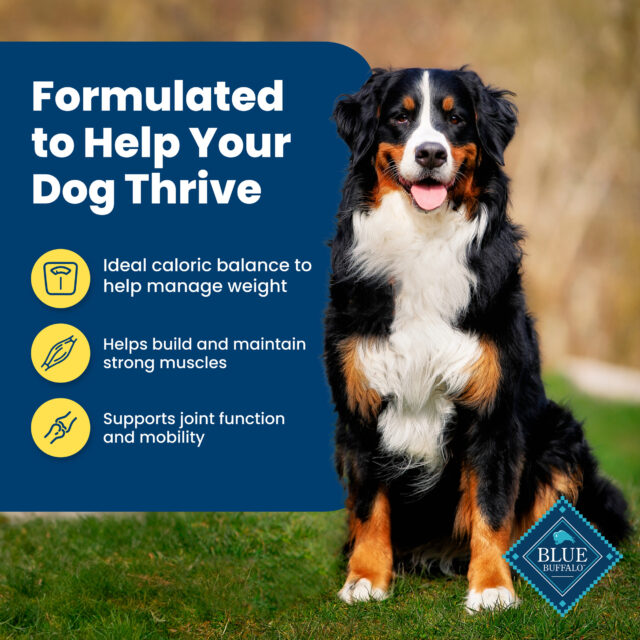 Blue Buffalo Life Protection Formula Adult Healthy Weight Dry Dog Food 5 lbs. - Image 6