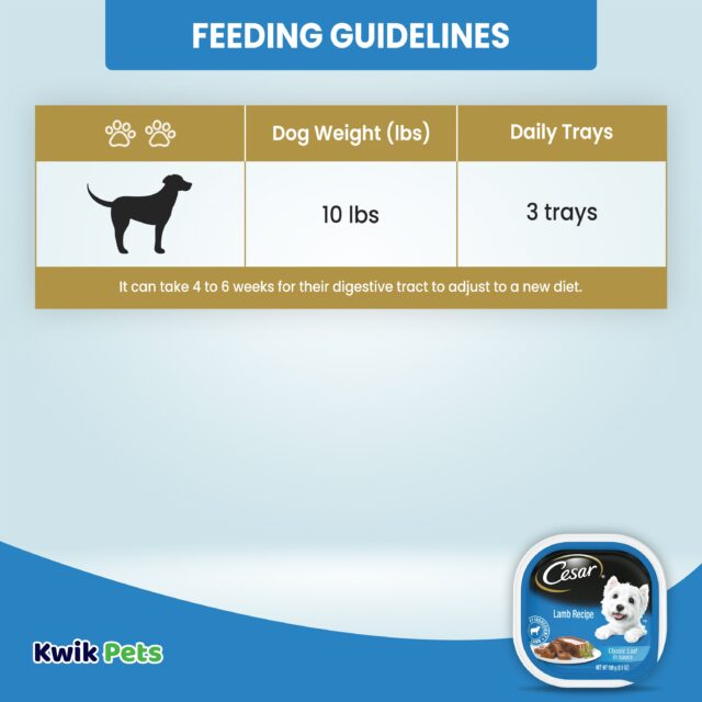 (6 pack) Cesar Classic Loaf In Sauce Lamb Recipe Wet Dog Food, 3.5 Oz - Image 3