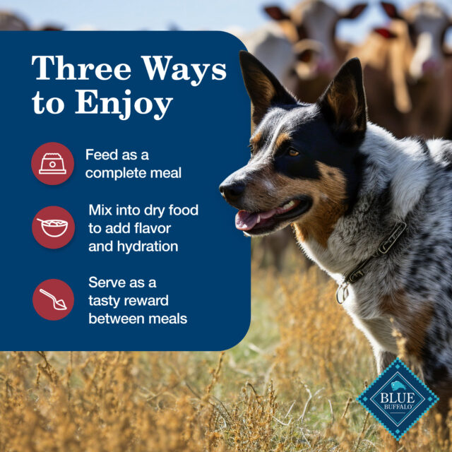 Blue Buffalo Homestyle Recipe Adult Wet Dog Food, Beef Dinner - Image 5