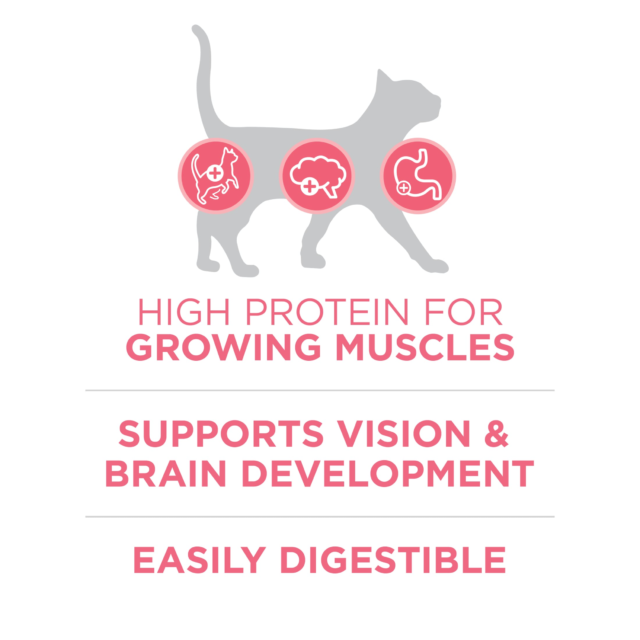 Purina ONE Plus, Healthy Kitten Formula, Dry Kitten Food, Chicken, 3.5 lb Bag - Image 4