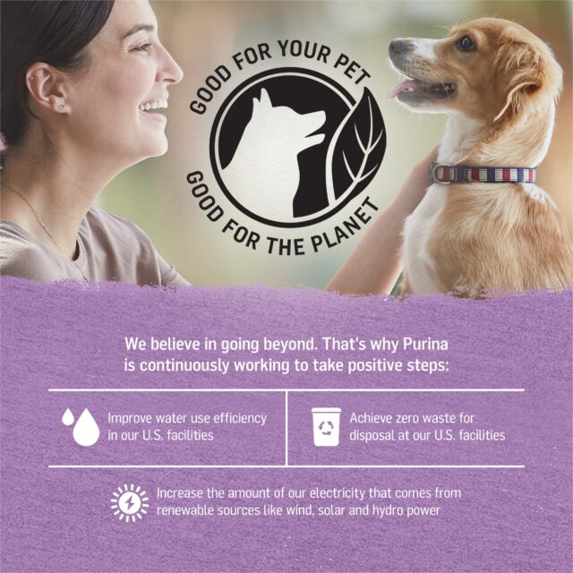 Purina Beyond Immune Health Wet Dog Food Natural Soft Turkey & Green Bean, 12.5 oz Can (12 Pack) - Image 4