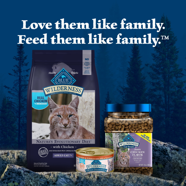 Blue Buffalo Wilderness Natural Mature Dry Cat Food, High-Protein, Chicken - Image 2