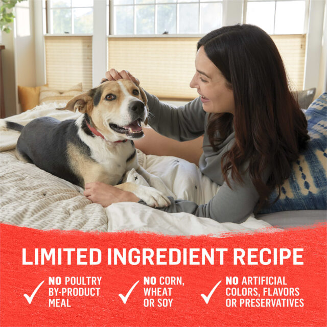 Purina Beyond Immune Health Wet Dog Food Ground Entree Chicken & Beef Flavors, 13 oz Cans (12 Pack) - Image 4