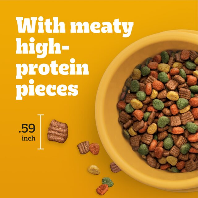 Pedigree High Protein Adult Dry Dog Food Chicken and Turkey Flavor Dog Kibble, 18 lb. Bag - Image 2