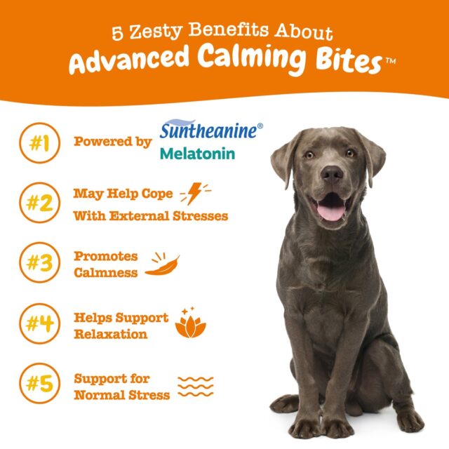Zesty Paws Advanced Calming Bites for Dogs, Calming Behavior, Turkey Flavor, 60 Count Soft Chews - Image 4
