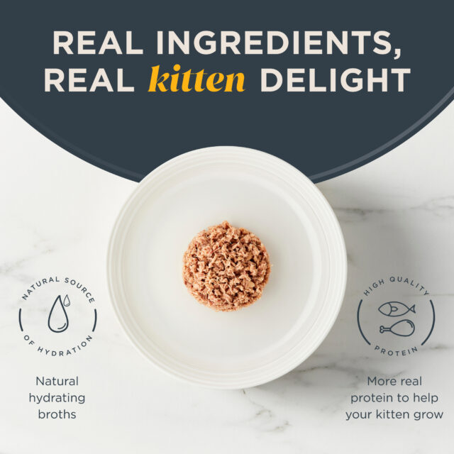 Reveal Pet Food Wet Kitten Food, Tuna Fillet in Broth, 2.47oz Cans - Image 6