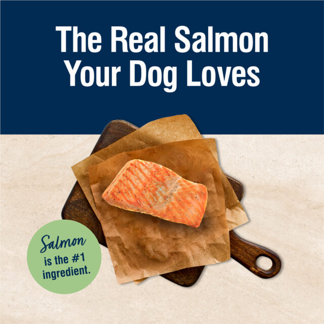 BLUE True Solutions Perfect Skin & Coat Adult Dog Dry Food, Salmon, 4-lb. - Image 5