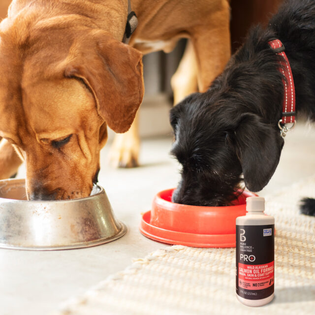 Pure Balance Pro+ Wild Alaskan Salmon Oil Formula, Brain, Skin & Coat Support for Dogs, EPA and DHA, 8 fl oz - Image 6