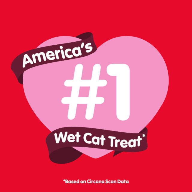 Hartz Delectables Lickable Spoon, Interactive Lickable Cat Treats for Quick & Easy Bonding, Salmon 32ct - Image 4