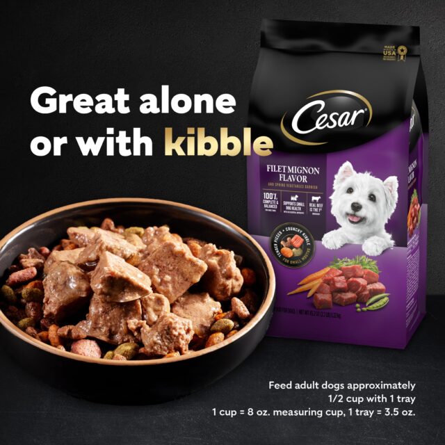 (4 pack) Cesar Loaf And Topper Angus Beef With Bacon And Cheese Wet Dog Food, 3.5 Oz Tray - Image 2