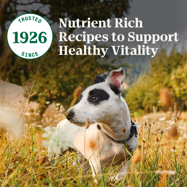 Nutro Natural Choice Senior Small Breed Dry Dog Food, Chicken And Brown Rice, 5 Lbs. - Image 2