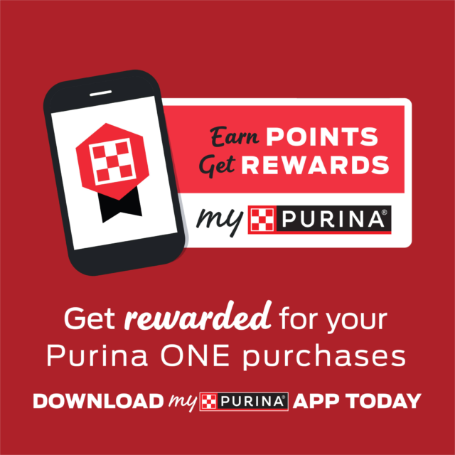 Purina ONE High Protein Dry Dog Food, Grain-Free Lamb & Rice Formula - Image 9