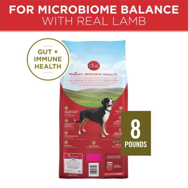 Purina ONE High Protein Dry Dog Food, Grain-Free Lamb & Rice Formula - Image 5