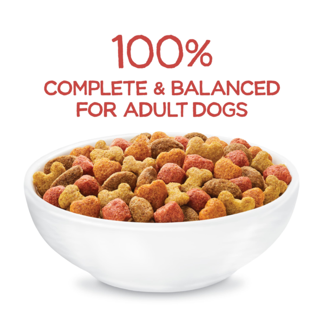 Purina Beneful Originals Dry Dog Food for Adult Dogs, High Protein Natural Salmon, 14 lb Bag - Image 9