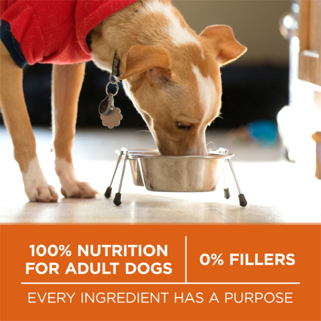 Purina ONE Plus Healthy Weight Dog Food Dry Formula - Image 3