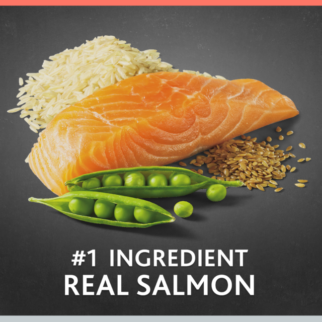 Pure Balance Pro+ Senior Salmon & Brown Rice Recipe Dry Dog Food, 8 lbs - Image 9