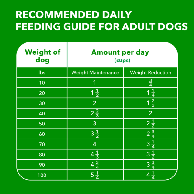 Iams Proactive Health Healthy Weight Chicken Dry Dog Food, 15 Lb Bag - Image 7