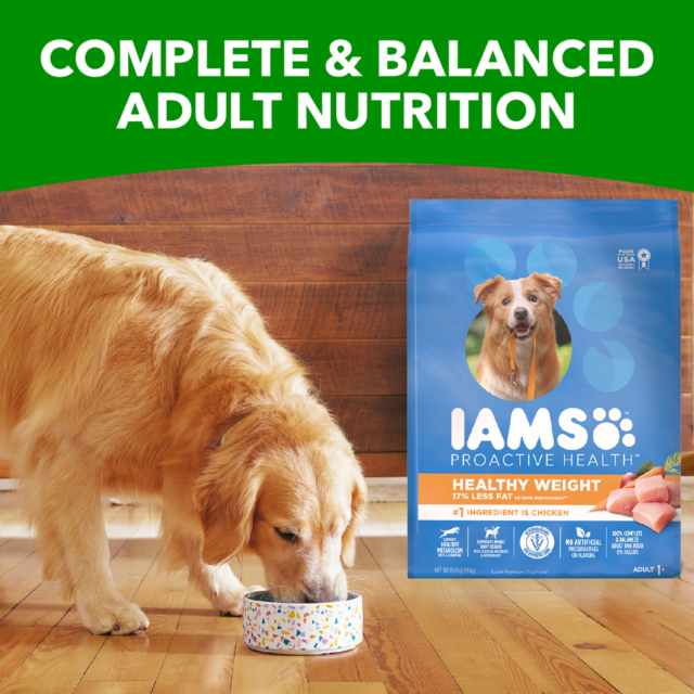 Iams Proactive Health Healthy Weight Chicken Dry Dog Food, 15 Lb Bag - Image 6