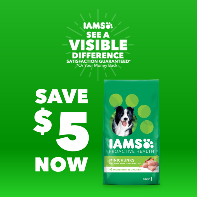 Iams Proactive Health Healthy Weight Chicken Dry Dog Food, 15 Lb Bag - Image 2