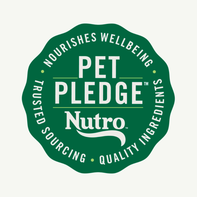 Nutro Natural Choice Adult Dry Dog Food, Chicken And Brown Rice Recipe 13 Lbs. - Image 5
