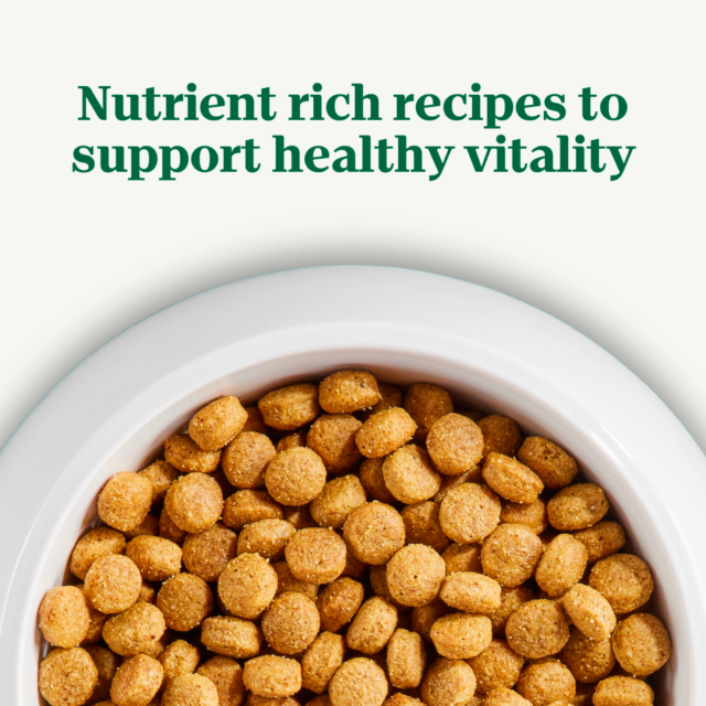 Nutro Natural Choice Adult Dry Dog Food, Chicken And Brown Rice Recipe 13 Lbs. - Image 4
