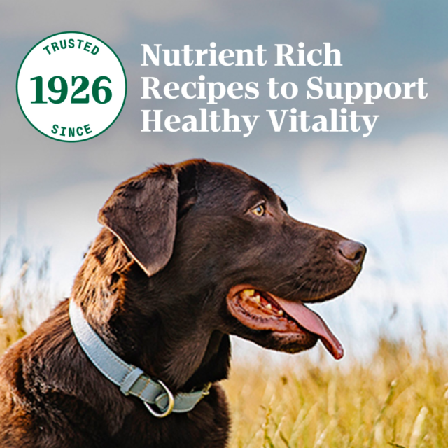 Nutro Natural Choice Adult Dry Dog Food, Chicken And Brown Rice Recipe 13 Lbs. - Image 2