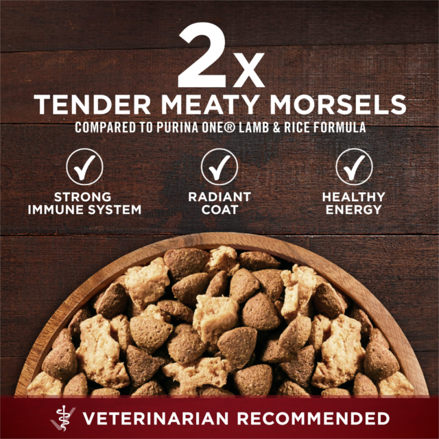 Purina ONE True Instinct Dry Dog Food, High Protein with Real Chicken & Duck, 15 lb Bag - Image 10