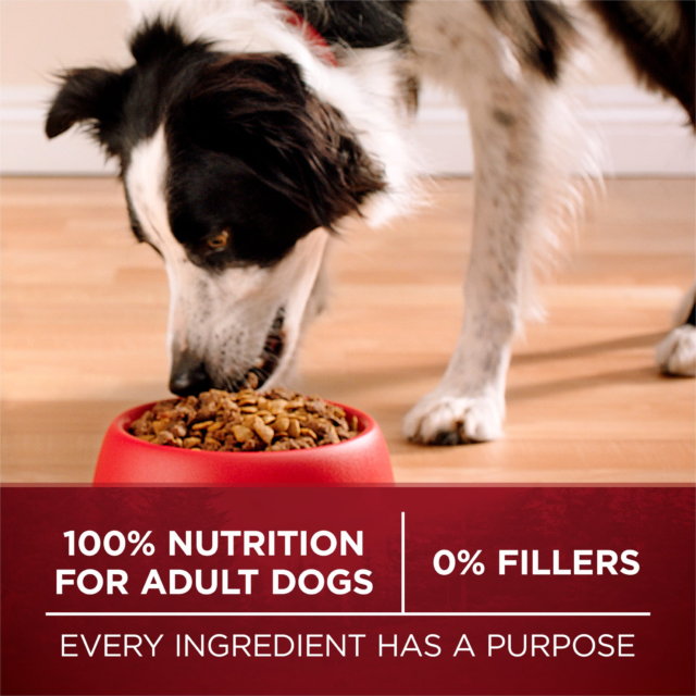Purina ONE True Instinct Dry Dog Food for Adults, High Protein Real Turkey & Vension, 36 lb Bag - Image 3