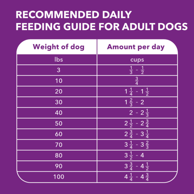 Iams Advanced Health Healthy Digestion Adult Dry Dog Food With Real Chicken, 6 Lb Bag - Image 11