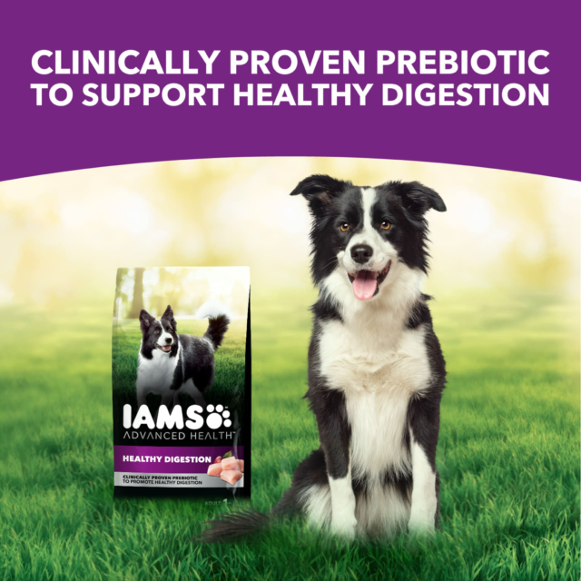 Iams Advanced Health Healthy Digestion Adult Dry Dog Food With Real Chicken, 6 Lb Bag - Image 4