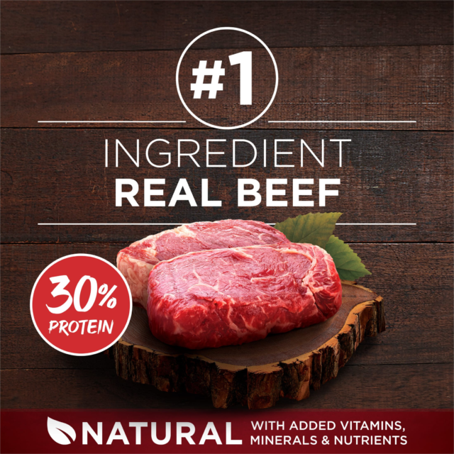 Purina ONE True Instinct Dry Dog Food, Grain-Free High Protein with Real Beef, 3 lb Bag - Image 9