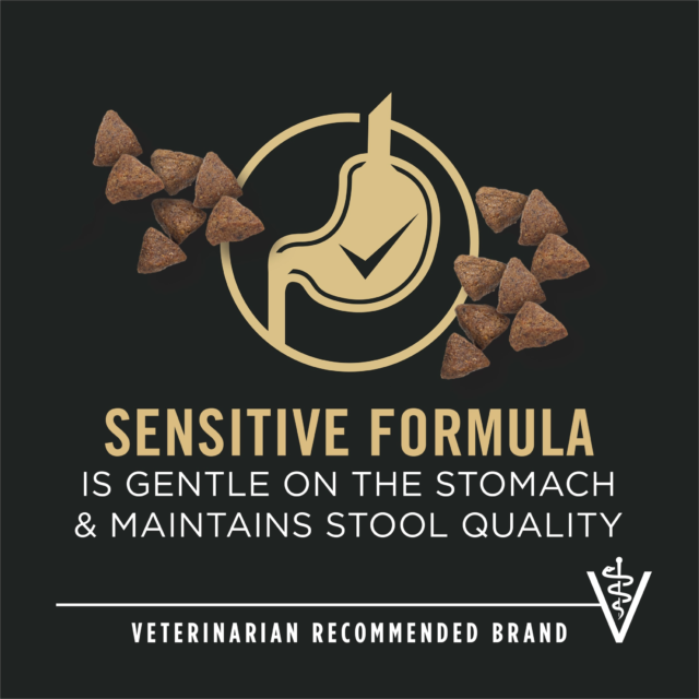 Purina Pro Plan Sensitive Skin & Stomach Dry Dog Food for Adults, Salmon & Rice, 16 lb Bag - Image 6