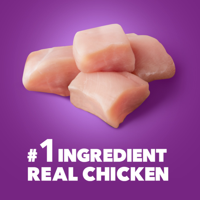 Iams Advanced Health Skin & Coat Chicken And Salmon Recipe Adult Dry Dog Food, 6 Lb Bag - Image 13
