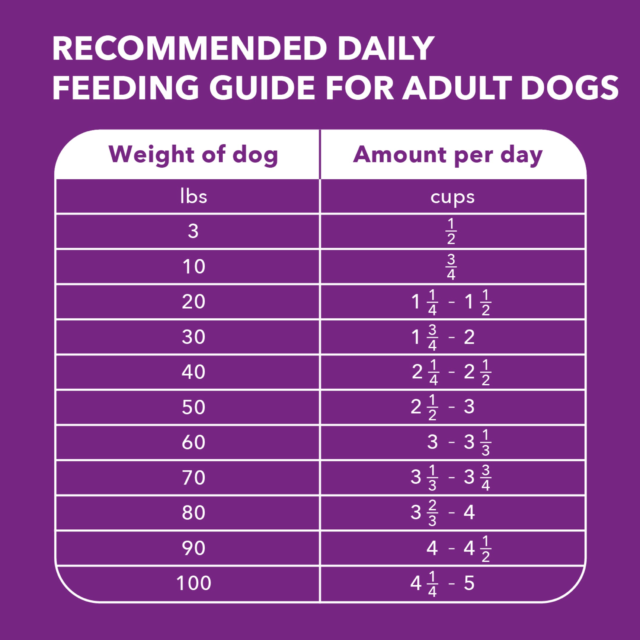 Iams Advanced Health Skin & Coat Chicken And Salmon Recipe Adult Dry Dog Food, 6 Lb Bag - Image 10