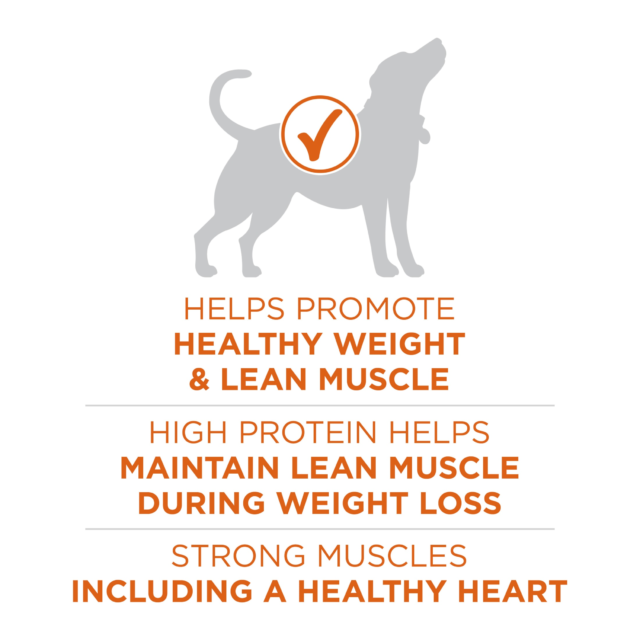 Purina ONE Plus Healthy Weight Dog Food Dry Formula - Image 6