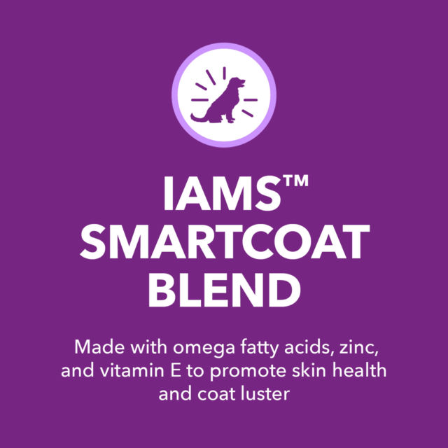 Iams Advanced Health Skin & Coat Chicken And Salmon Recipe Adult Dry Dog Food, 6 Lb Bag - Image 9