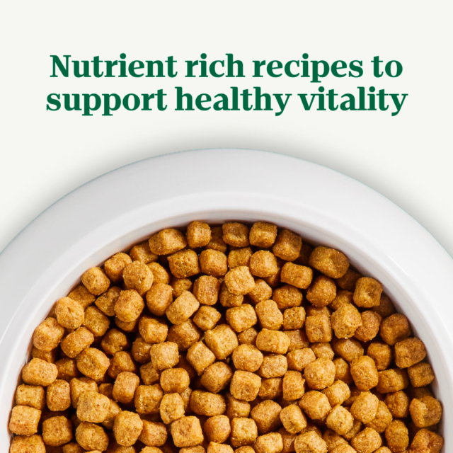 Nutro Natural Choice Senior Small Breed Dry Dog Food, Chicken And Brown Rice, 5 Lbs. - Image 4