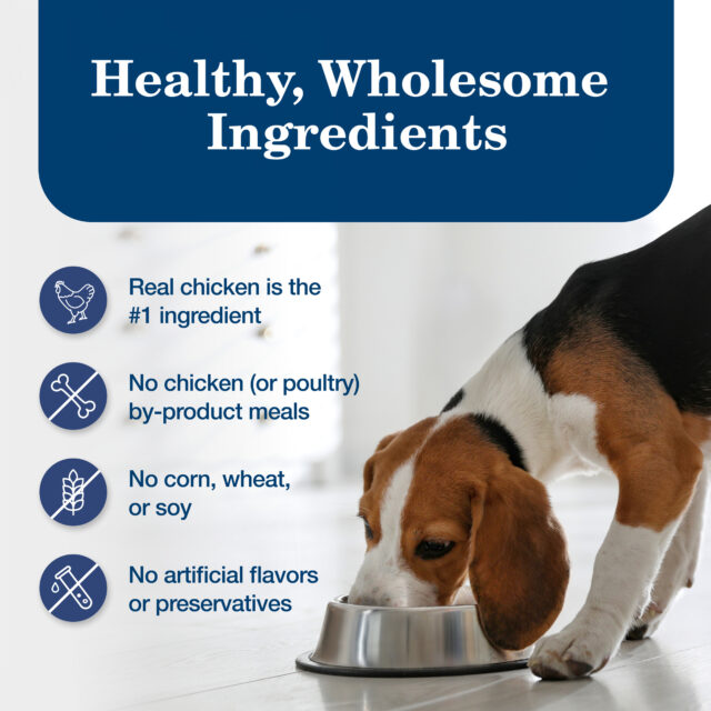 (3 pack) Blue Buffalo Homestyle Recipe Adult Wet Dog Food, Chicken Dinner, 12.5-oz. Can - Image 5