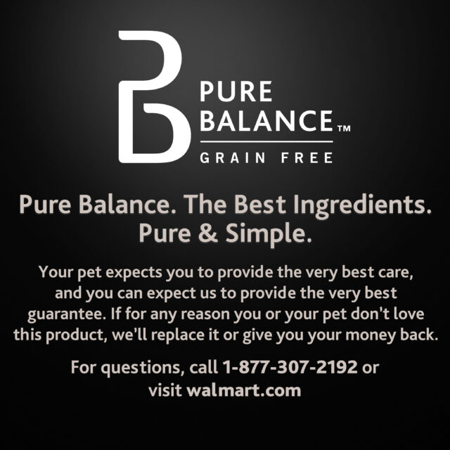 Pure Balance Pro+ Sensitive Skin & Stomach Dog Food, Salmon & Rice Recipe, 8 lb Bag - Image 3
