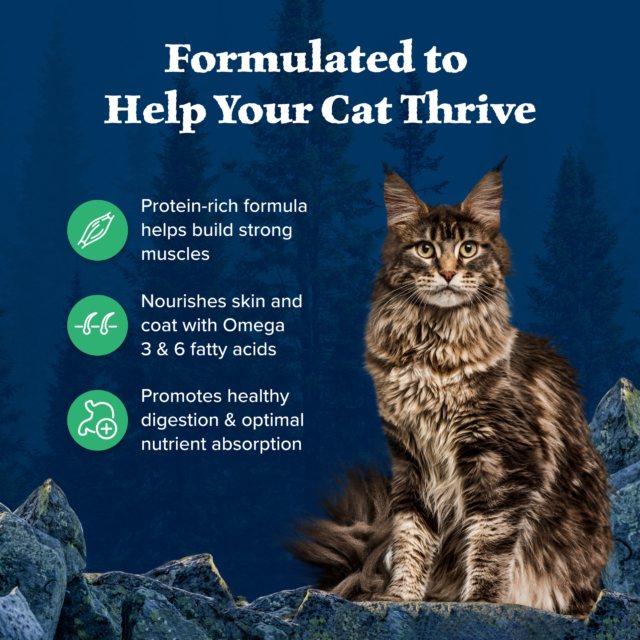 Blue Buffalo Wilderness Natural High-Protein, Grain-Free Dry Cat Food, Duck - Image 4