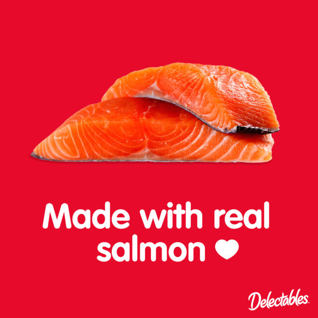 Hartz Delectables Lickable Spoon, Interactive Lickable Cat Treats for Quick & Easy Bonding, Salmon 32ct - Image 6
