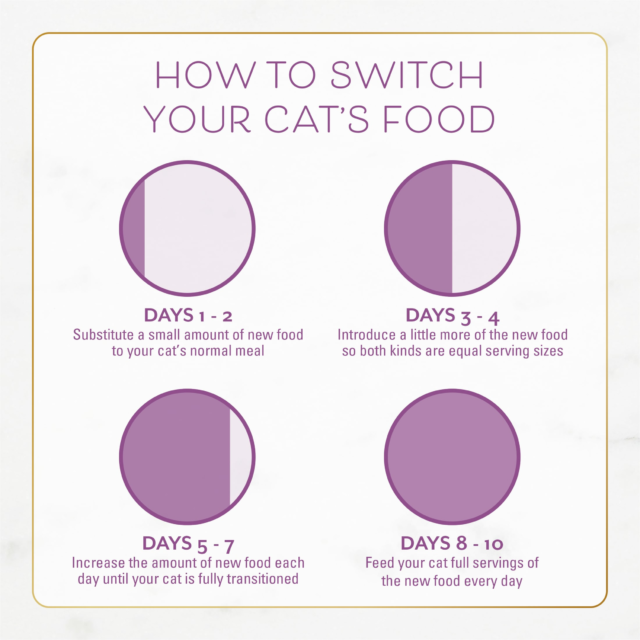 Purina Fancy Feast Indoor Dry Cat Food, Chicken & Turkey, 3 lb Bag - Image 2