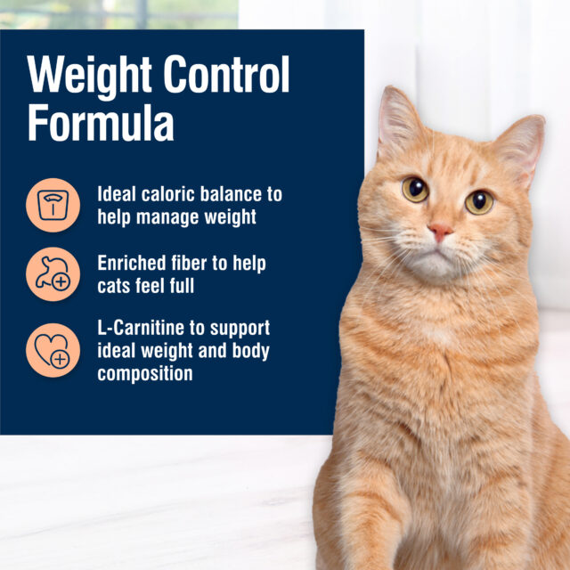 Blue Buffalo True Solutions Healthy Weight Natural Weight Control Adult Dry Cat Food, Chicken 3.5-lb Bag - Image 5