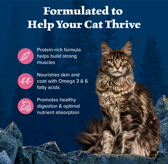 Blue Buffalo Wilderness Natural High Protein Dry Food for Adult Cats, Salmon - Image 5