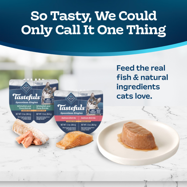 Blue Buffalo Tastefuls Spoonless Singles Variety Pack, Wet Cat Food Paté, 2.6-oz. Twin Pack (12 Ct) - Image 3